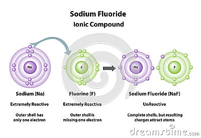 Sodium Fluoride ionic compound created Vector Illustration