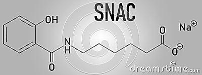 Sodium salcaprozate, SNAC, oral absorption promoter. Skeletal formula. Stock Photo