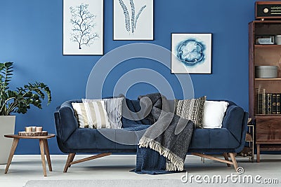 Sofa in living room Stock Photo