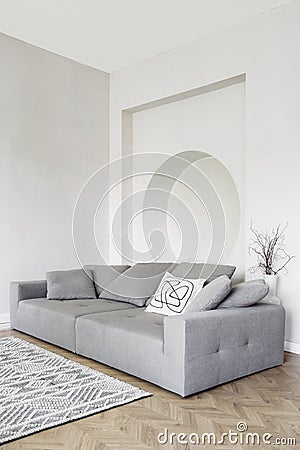 Sofa in modern apartment interior, living room decor Stock Photo