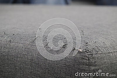 A sofa that was damaged by a cat scratch Stock Photo