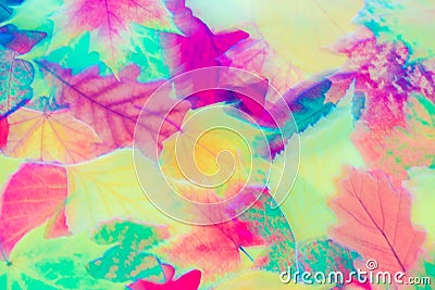 Soft Abstract Autumn Leaves Motion Blur Image Stock Photo