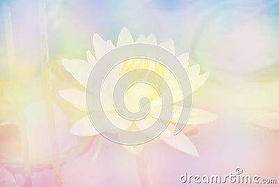 Soft blur Lotus flower in pastel colors sweet background Stock Photo