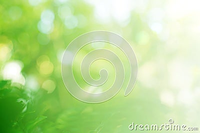 Soft blurred green leaves background Stock Photo