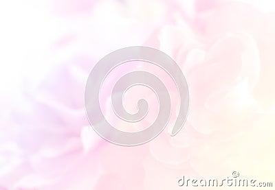 Soft and blurred of pastel tone flower for background Stock Photo