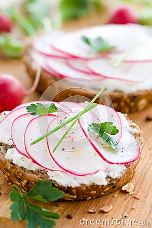 Soft cheese and radishes Stock Photo