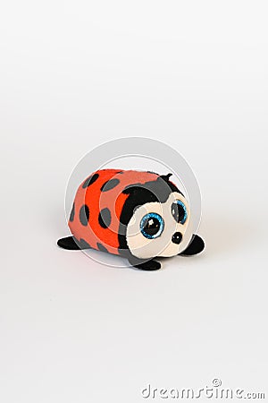 Soft children& x27;s toy - ladybug, close up, solate Stock Photo