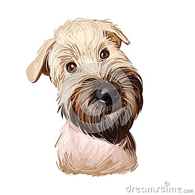 Soft coated wheaten terrier with long haired coat digital art. Closeup of watercolor portrait of pet with furry muzzle, hand drawn Stock Photo