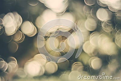 Soft colored abstract bokeh background . Christmas bokeh background light bokeh color .Photoshop technique Bokeh adding . bright Stock Photo