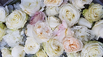 Floral background. White flowers. White roses and white peonys. Floral carpet. Floral pattern. white roses. Stock Photo