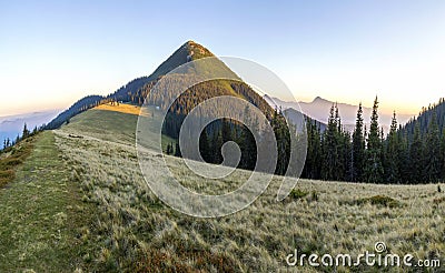 Soft creamy sunset in Carpathian mountains. Grass covered meadow, pine trees and distant mountain peaks Stock Photo