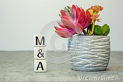 Soft cubes with the abbreviation M and A - Merger and Acquisition, with a flower Stock Photo