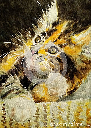 A soft fluffy brown-yellow cat with a white mustache is lying in a basket. Watercolor illustration, painted by hand Cartoon Illustration