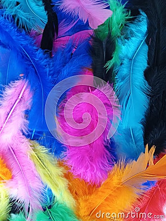 Soft fluffy colorful feathers background Stock Photo