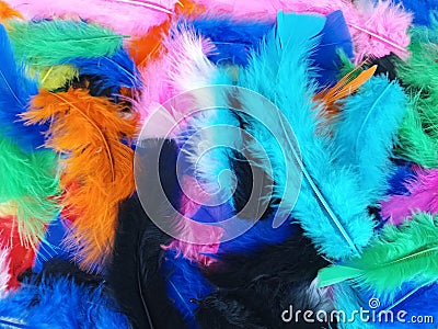 Soft fluffy colorful feathers background Stock Photo