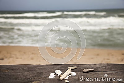 Soft focus of a collection of seashells on a wooden surface at shore Stock Photo