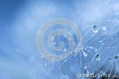 Water Droplets On Blue Surface Stock Photo