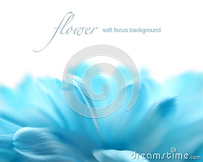 Soft focus flower background with copy space. Stock Photo