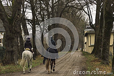 Soft focus horse riders back to camera in autumn park dirt trail moody weather time after rain with a lot of mud on ground outdoor Editorial Stock Photo