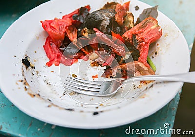 Soft focus photo. Grilled vegetables leftovers. Potatoes in ash. Food in village. Rustic style Stock Photo