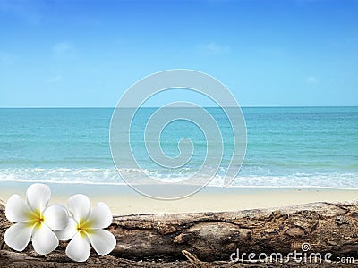 Soft focus of Plumeria with white sand and beautiful blue sea over clear blue sky Editorial Stock Photo