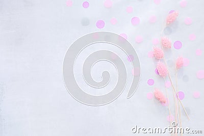 Soft light gray background with pink polka dots and pink lagurus. copy space Stock Photo