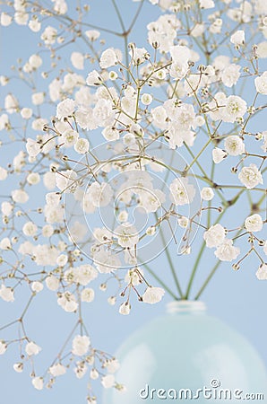 Soft light small flowers in circle ceramic blue vase closeup on pastel blue background. Spring season backdrop. Stock Photo