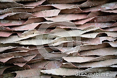 Soft lines of light rust and gray on the surface of the building material. Stock Photo