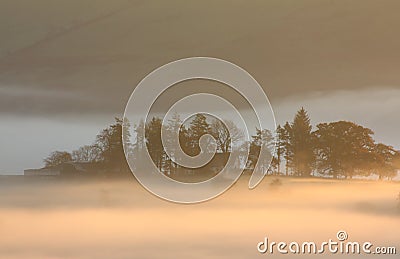 Soft Morning View Stock Photo