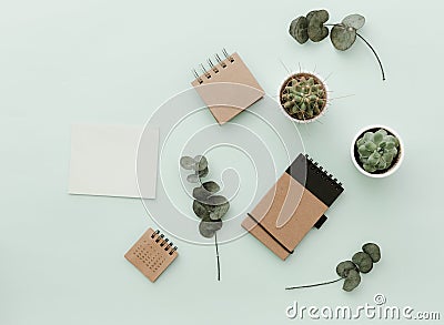 Soft Neutral Styled Desk Scenes With Cactus, craft eco notebooks and green leaves Stock Photo