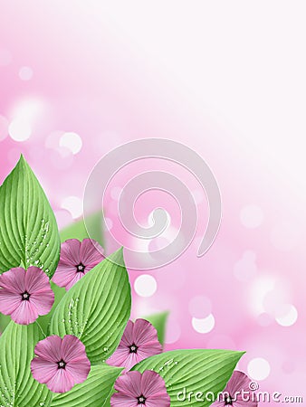 Soft Pink flower and green hosta leaf bokeh background with blank space Stock Photo