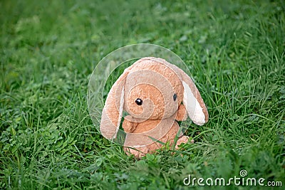 Soft toy on the grass in the park, cute plush rabbit, kids toy Stock Photo