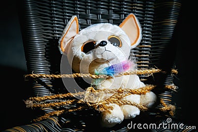 Soft toy of a sad dog tied with a body rope to a chair in a dark room. Parody for the abduction of children. Hostage taking Stock Photo