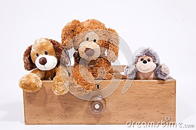 Soft toys in a draw Stock Photo