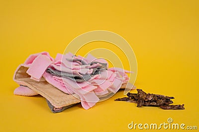 Soft washable textile training snuffle mat for nose work for pet. Intellectual games, training and development with pet. Stock Photo