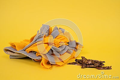 Soft washable textile training snuffle mat for nose work for pet. Intellectual games, training and development with pet. Stock Photo