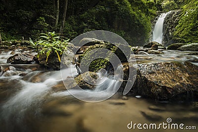 soft water of the stream in the natural park, Beautiful waterfall in rain forest Stock Photo