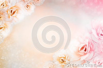 Light pink and white rose floral border vintage background design for mother`s day card Stock Photo