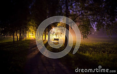 Soften edge view of night bench in mist dark tree alley with lamps and long shadows Stock Photo