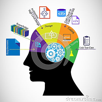 Software developer brain and different phases of the software development cycle Vector Illustration