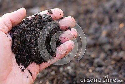 Soil Stock Photo