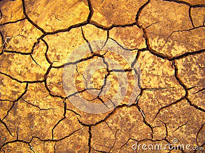 Soil cracks top view Stock Photo