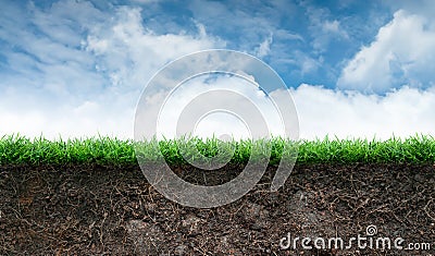 Soil and Grass in Blue Sky Stock Photo