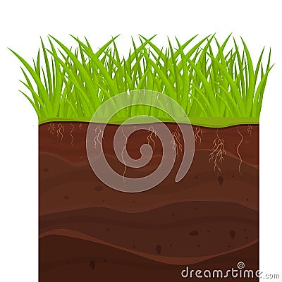 Soil, ground with layers, grass roots and stones, earth sections in cartoon style isolated on white background. Vector Illustration