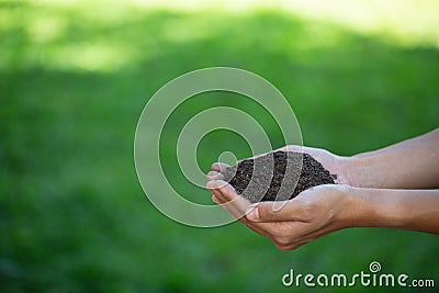 Soil in hand on green farmland background Stock Photo