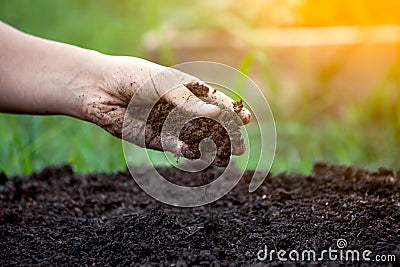 Soil in hand Stock Photo