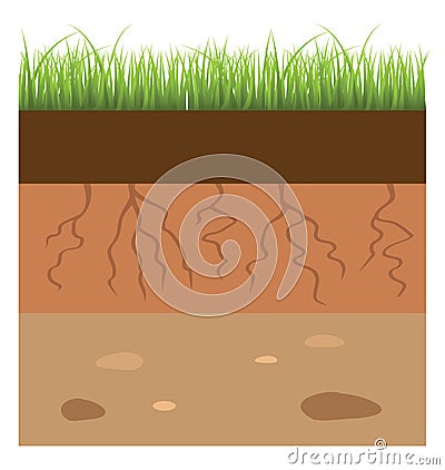 Soil layer Vector Illustration