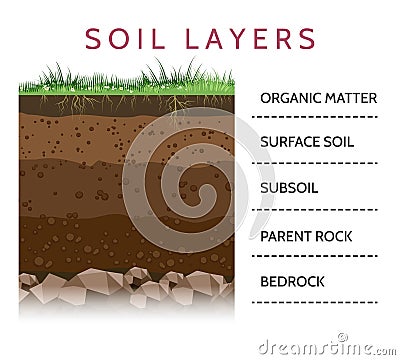 Soil layer scheme with grass Vector Illustration