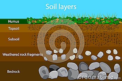 Soil layers. Diagram showing soil layers. Vector Illustration