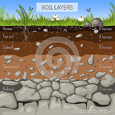 Soil layers diagram with grass, earth texture, stones, plant roots, underground species Cartoon Illustration